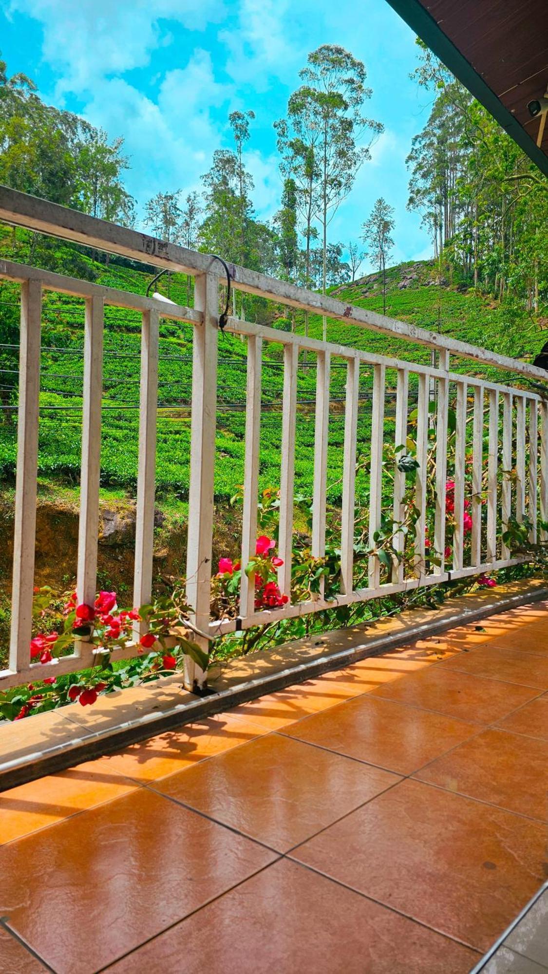 Adams Peak Grand Hotell Nallathanniya Exteriör bild